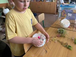 49165523011383959614216844887657250823120520n